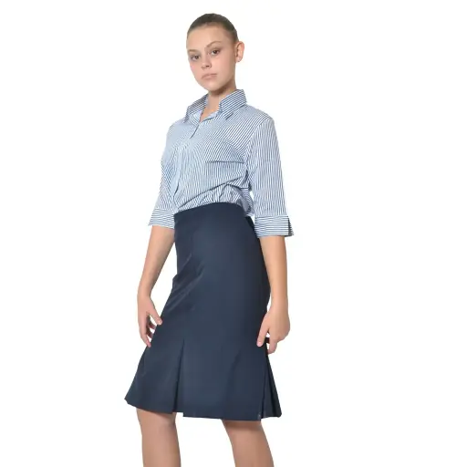 Bella Lined Skirt With Pleats