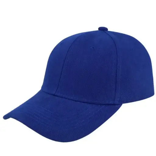 6 PANEL CAP